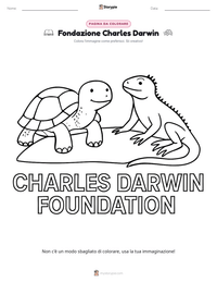 Anteprima della scheda stampabile di Fondazione Charles Darwin