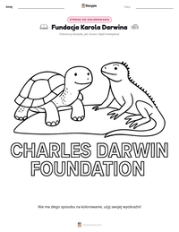 Podgląd drukowalnego arkusza ćwiczeń Fundacja Karola Darwina