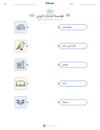 معاينة ورقة العمل القابلة للطباعة مؤسسة تشارلز داروين