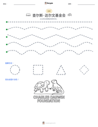 查尔斯·达尔文基金会 可打印工作表预览