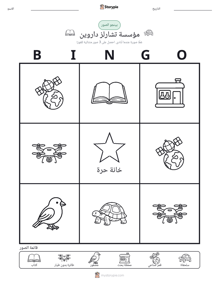بينغو الصور