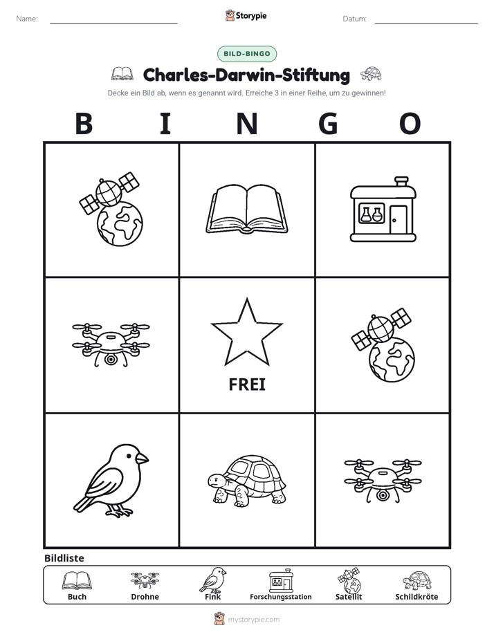 Bild-Bingo