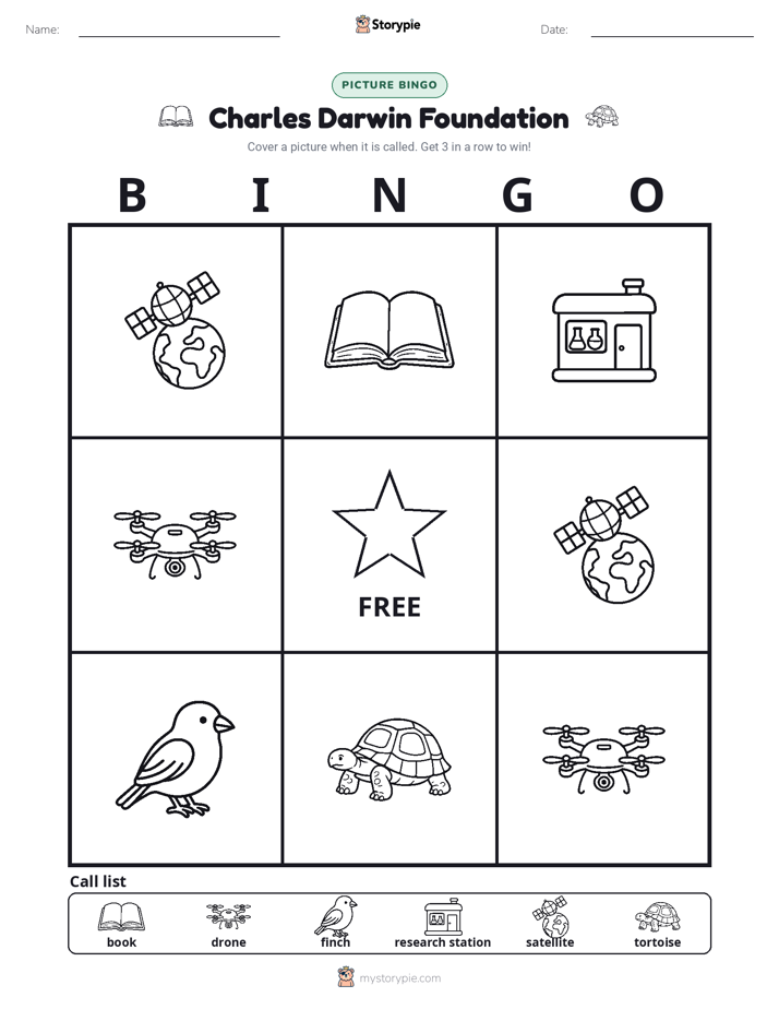 Picture Bingo