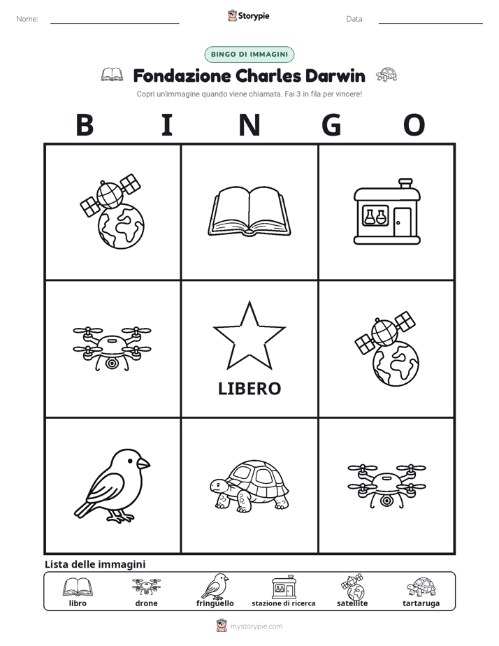 Bingo delle Immagini
