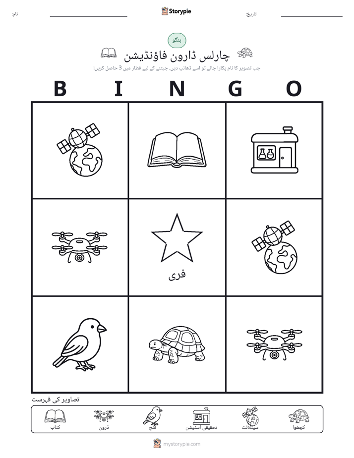 تصویری بنگو