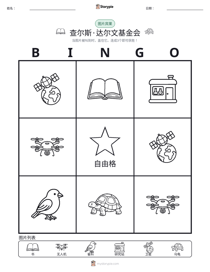 图片宾果