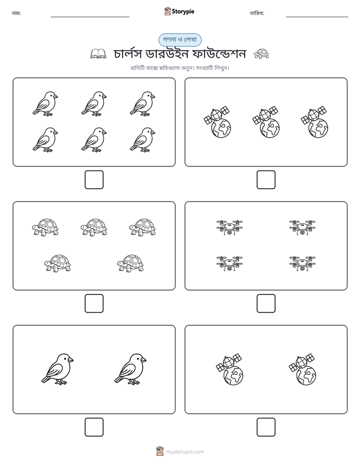 গণনা & লিখুন