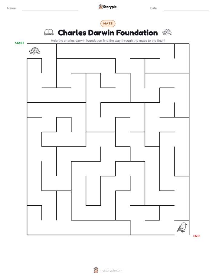 Maze