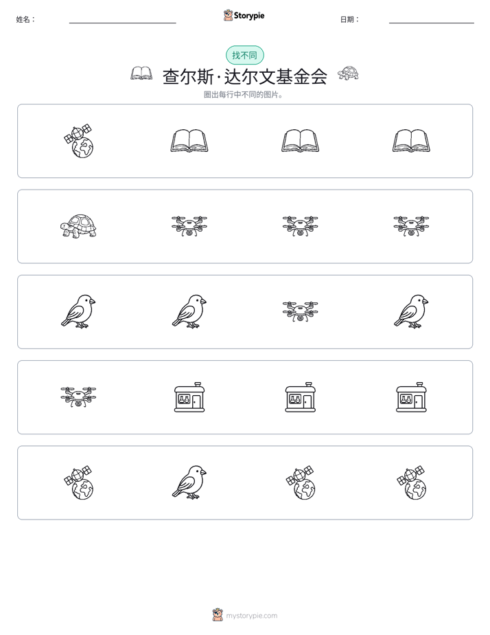 找不同
