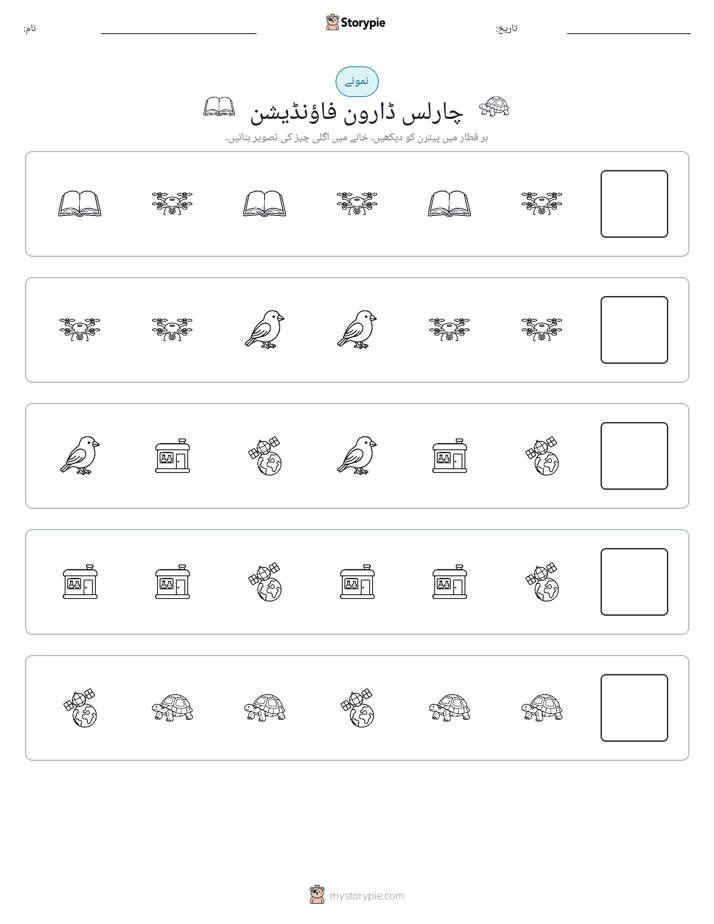 پیٹرن