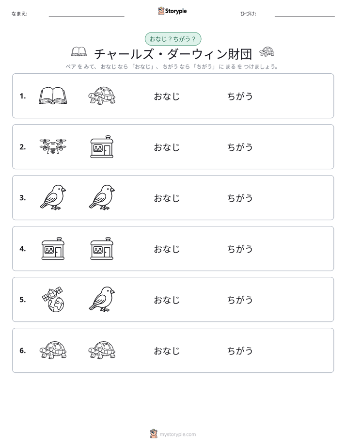 同じか違うか