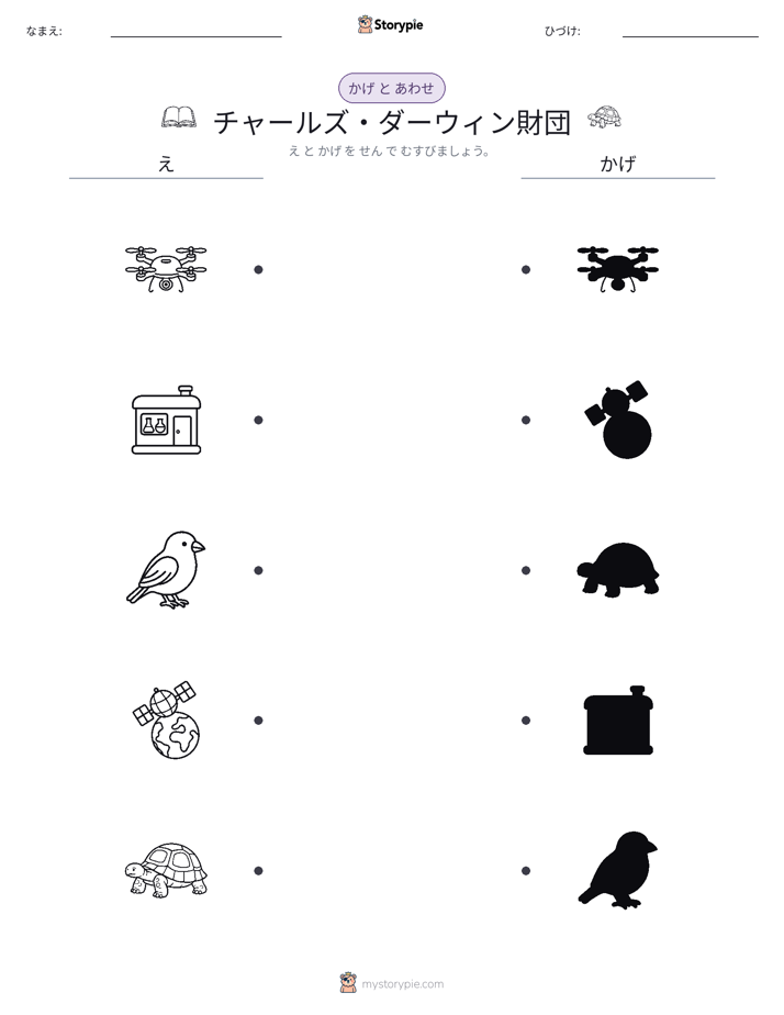 シャドウマッチ