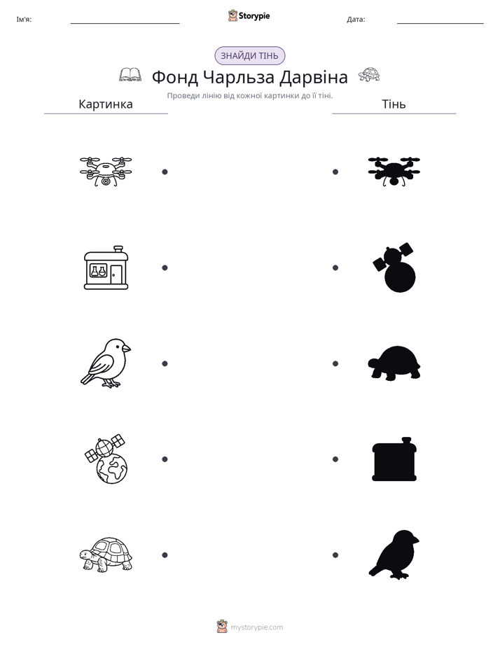 Тіньове Відповідність