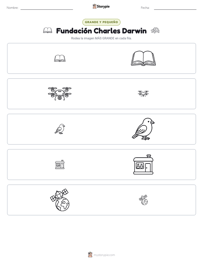 Clasificación
