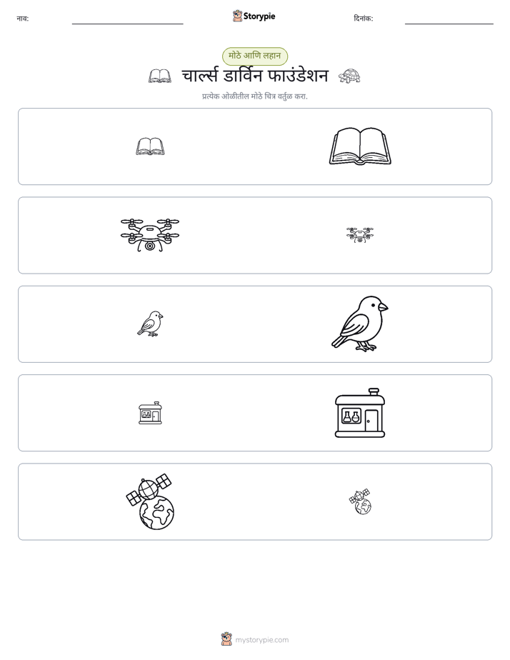 वर्गीकरण
