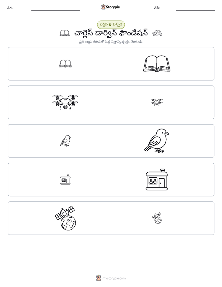 వర్గీకరణ