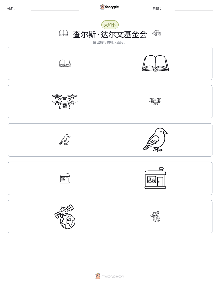 分类