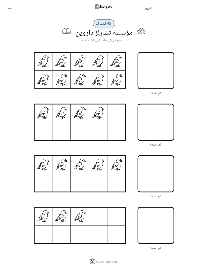 إطار العشرة