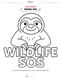 Aperçu de la feuille de travail imprimable Wildlife SOS
