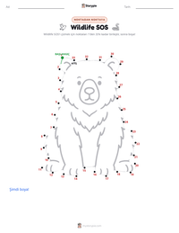 Wildlife SOS yazdırılabilir çalışma sayfası önizlemesi