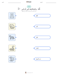 معاينة ورقة العمل القابلة للطباعة وايلدلايف إس أو إس