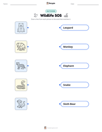 Wildlife SOS printable worksheet preview