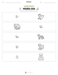Anteprima della scheda stampabile di Wildlife SOS