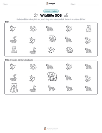 Wildlife SOS druckbare Arbeitsblatt Vorschau