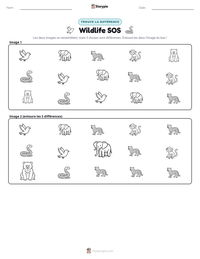Aperçu de la feuille de travail imprimable Wildlife SOS