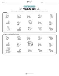 Anteprima della scheda stampabile di Wildlife SOS
