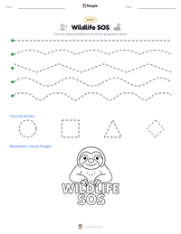 Aperçu de la feuille de travail imprimable Wildlife SOS
