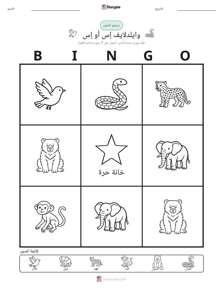 بينغو الصور