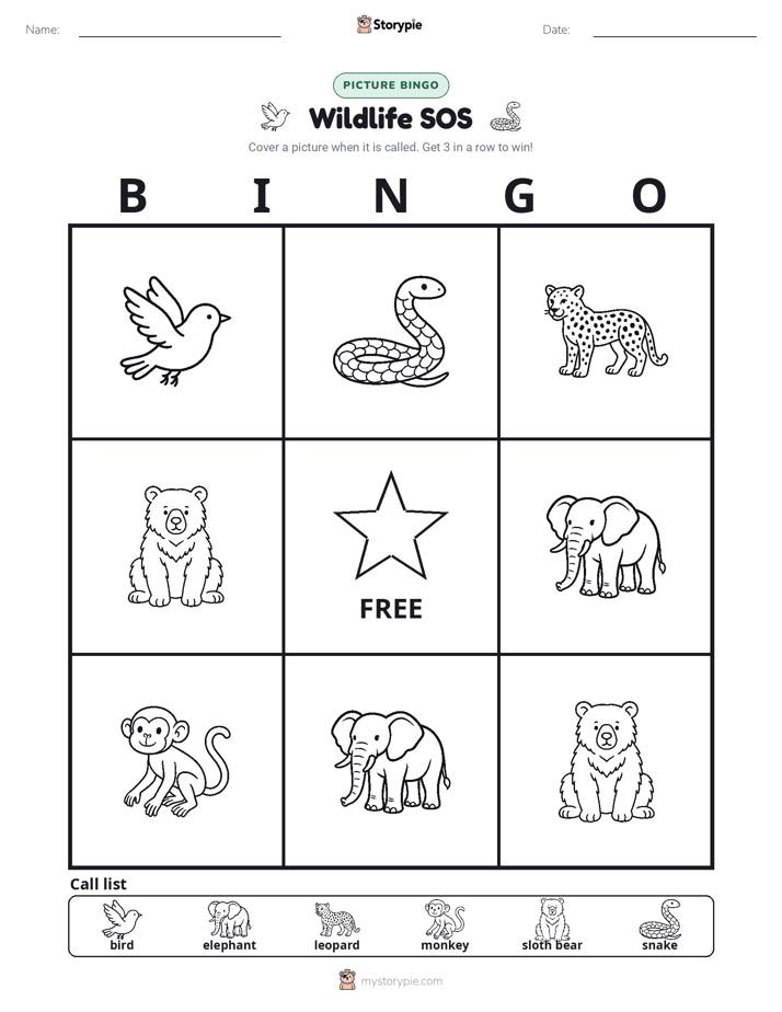 Picture Bingo