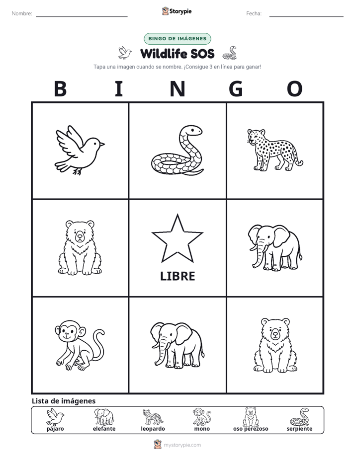 Bingo de Imágenes