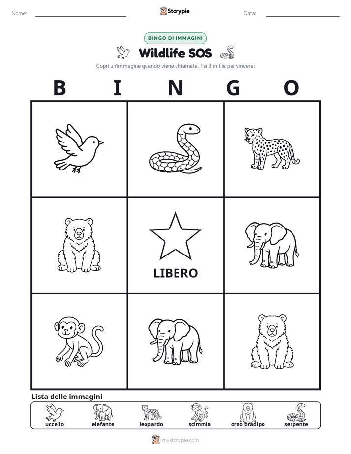 Bingo delle Immagini