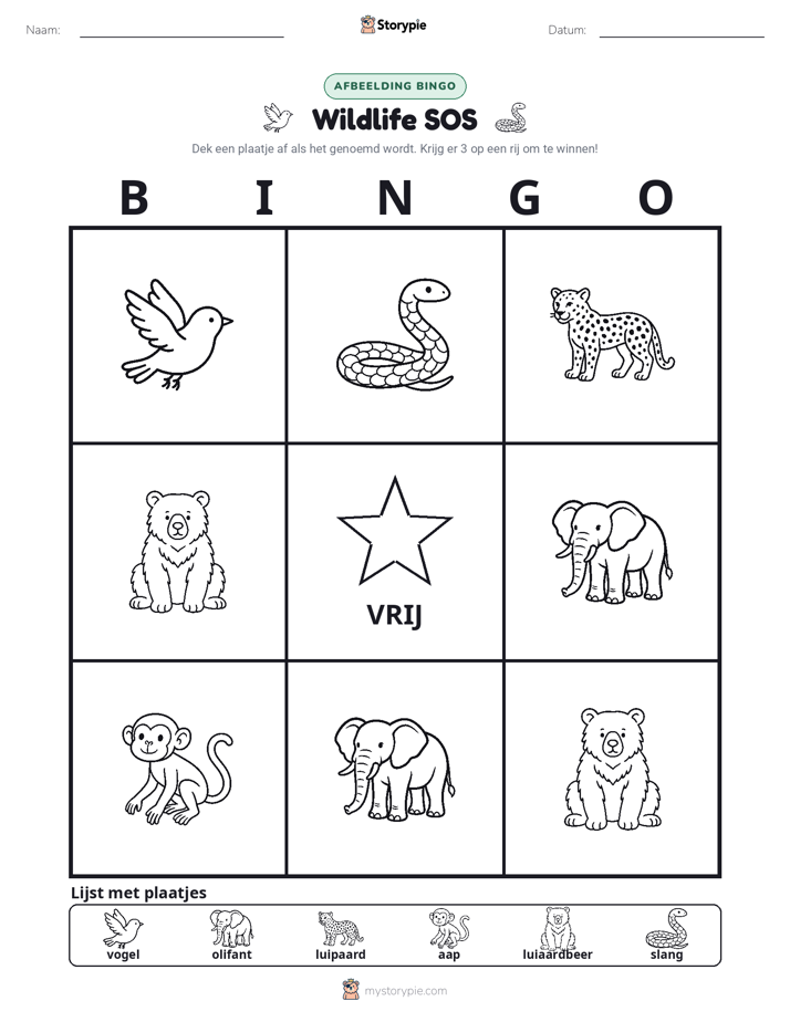 Afbeelding Bingo