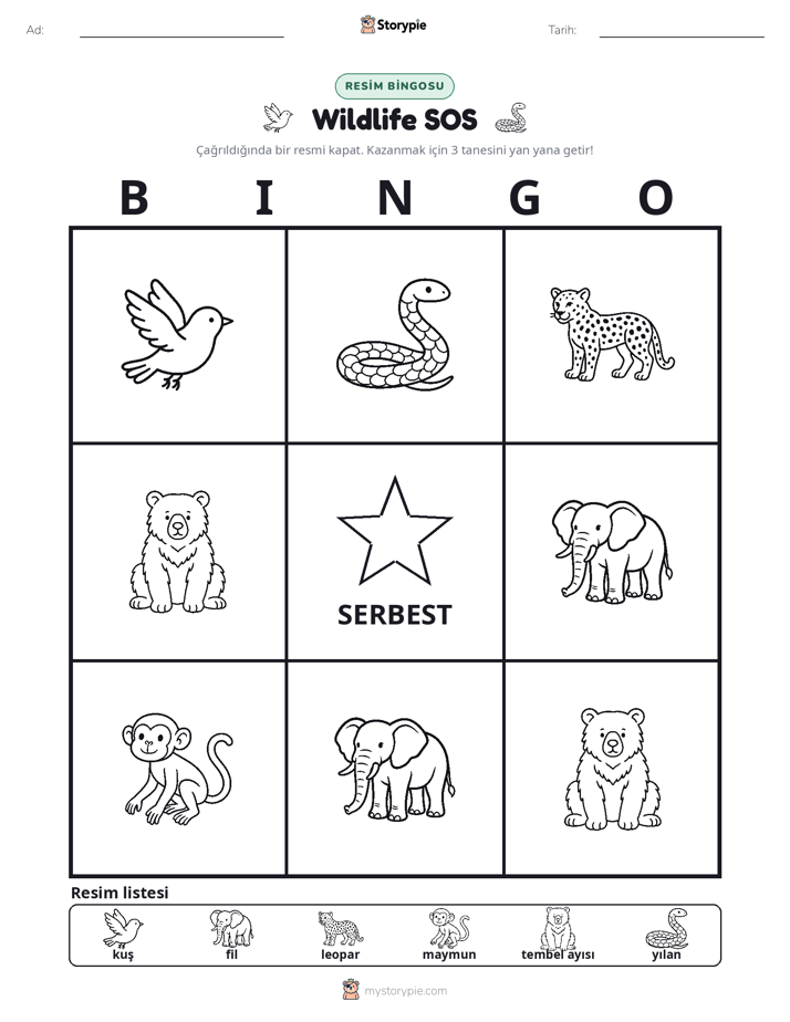 Resim Bingo