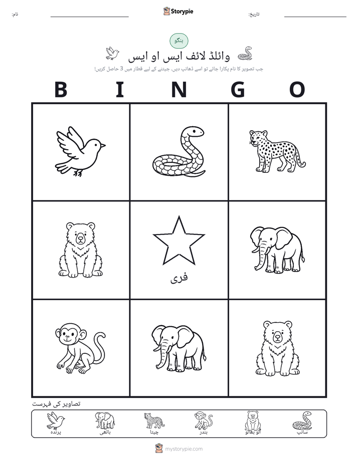 تصویری بنگو