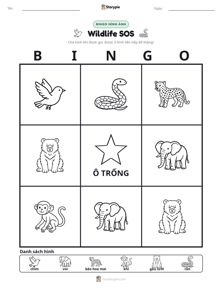 Bingo Hình Ảnh