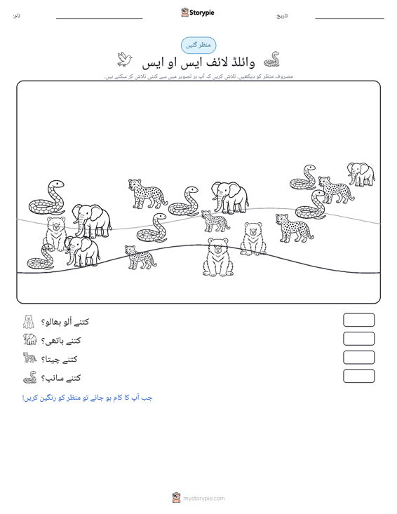 گنتی کا منظر