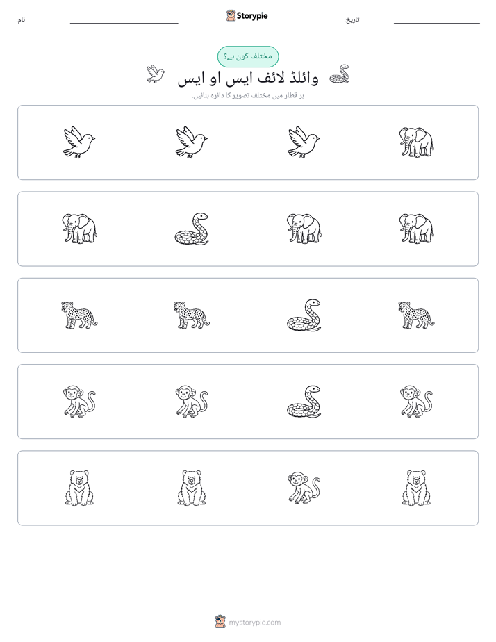 عجیب ایک