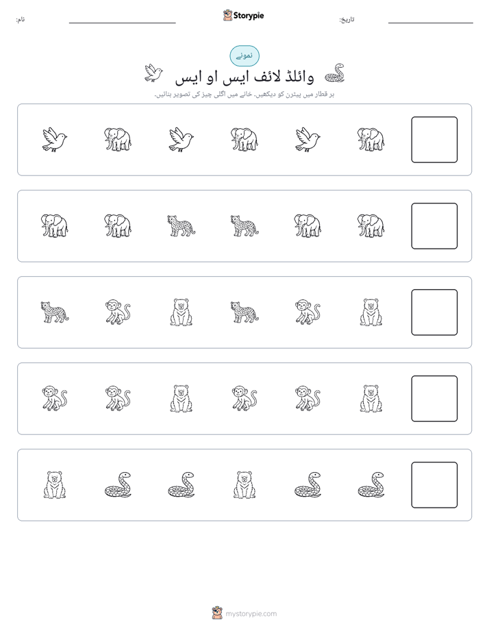 پیٹرن