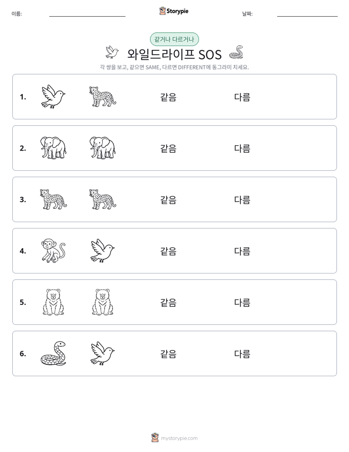 같은 것 또는 다른 것