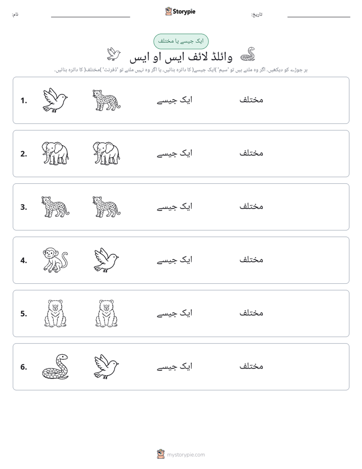 ایک جیسا یا مختلف