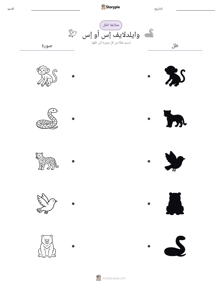 مطابقة الظل