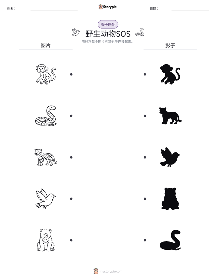 影子匹配