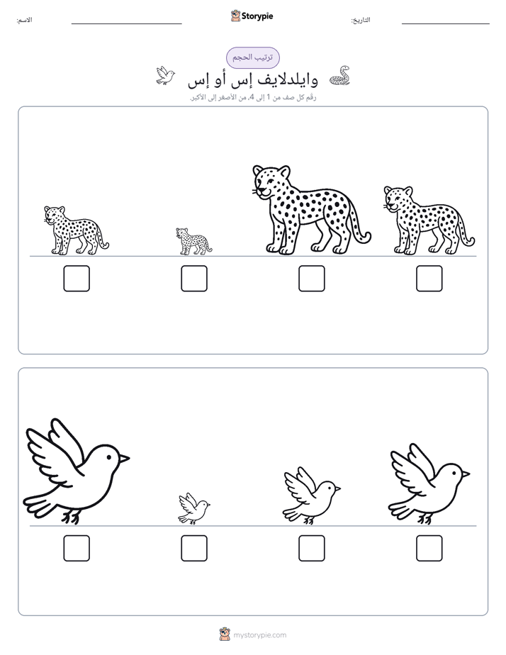 ترتيب الحجم