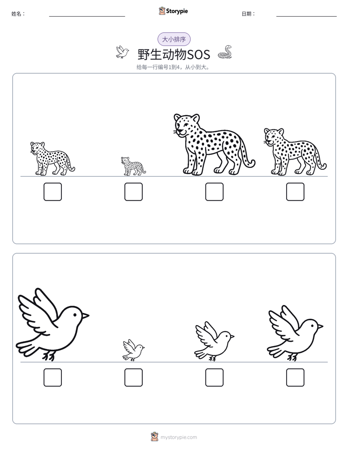 大小排序