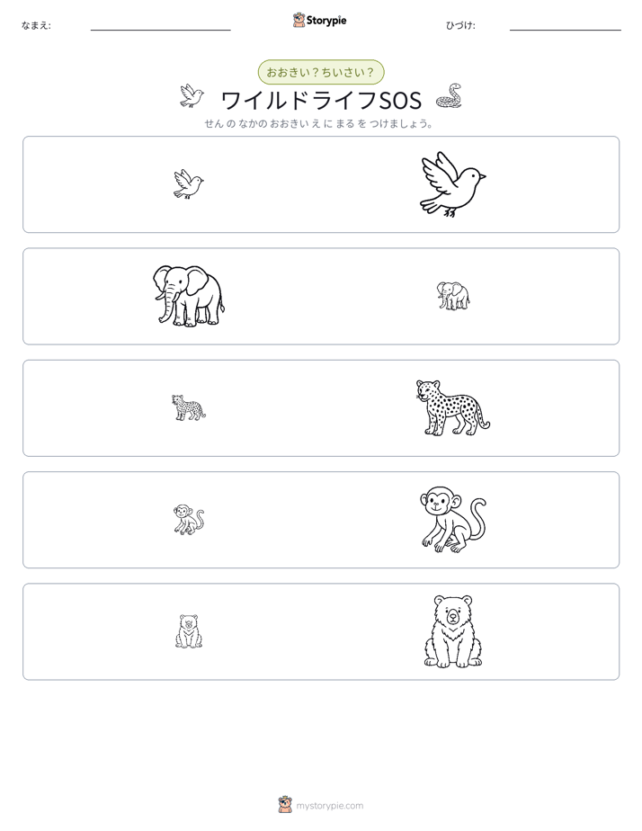ソーティング