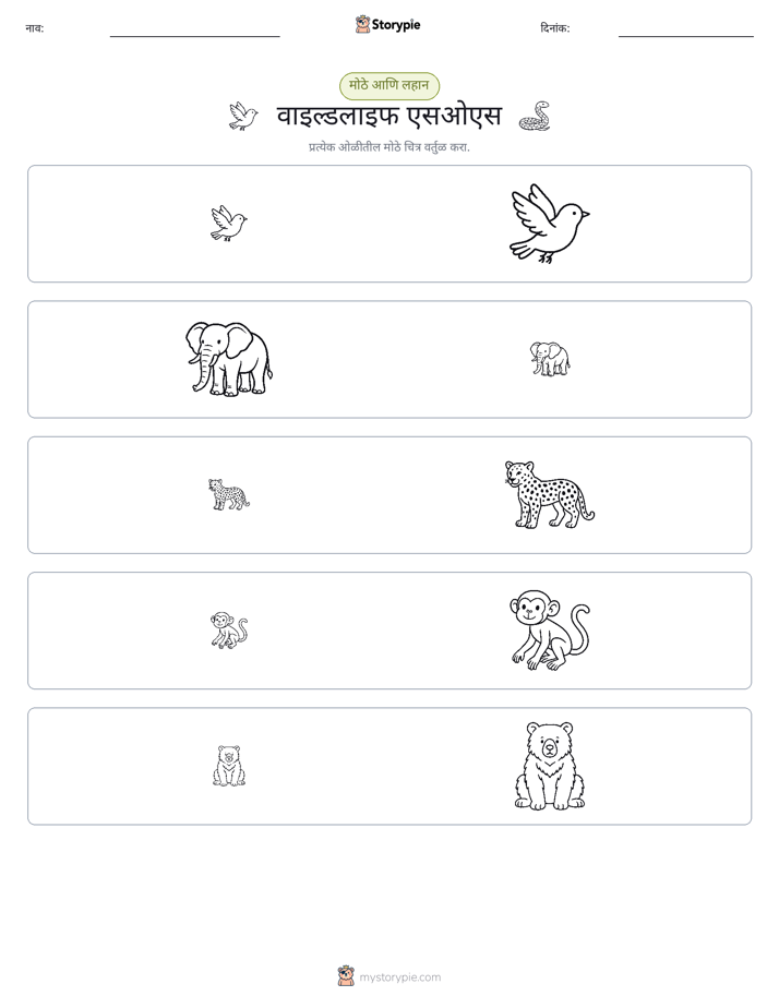 वर्गीकरण